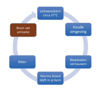 Koude en lichaamsbewustzijn