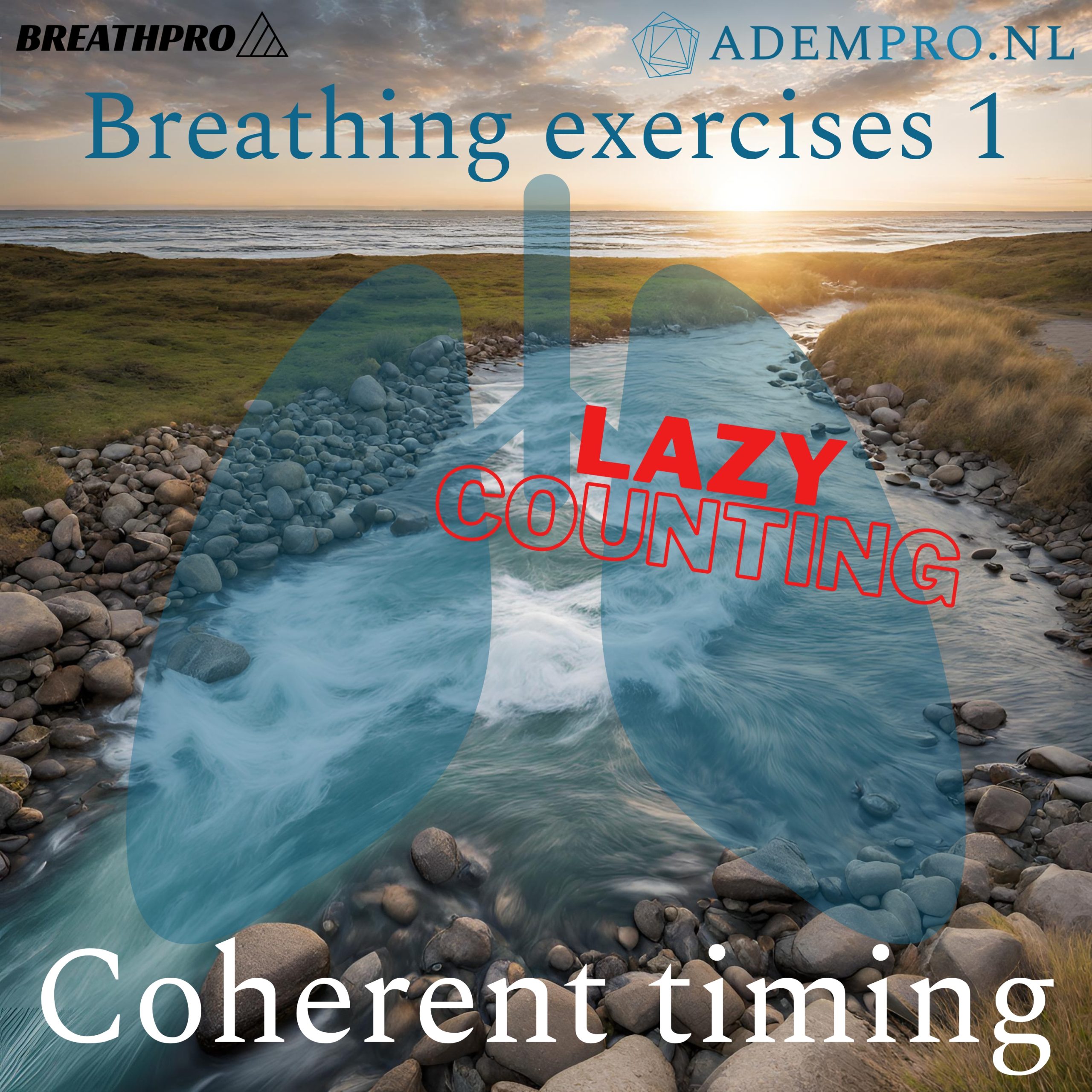 Oefeningen op spotify/apple music etc