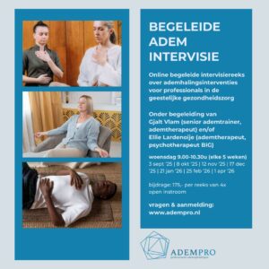 Begeleide Intervisiegroep ademinterventies GGZ - Afbeelding 2