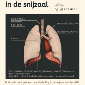Anatomie in de snijzaal - 5 november 2026 - Afbeelding 1