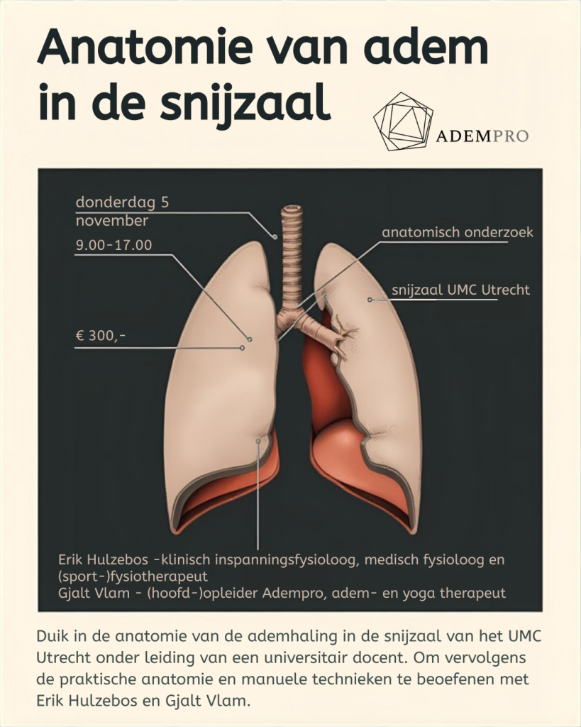 Anatomie in de snijzaal - 5 november 2026