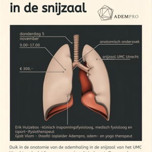 Anatomie in de snijzaal - 5 november 2026 - Afbeelding 2